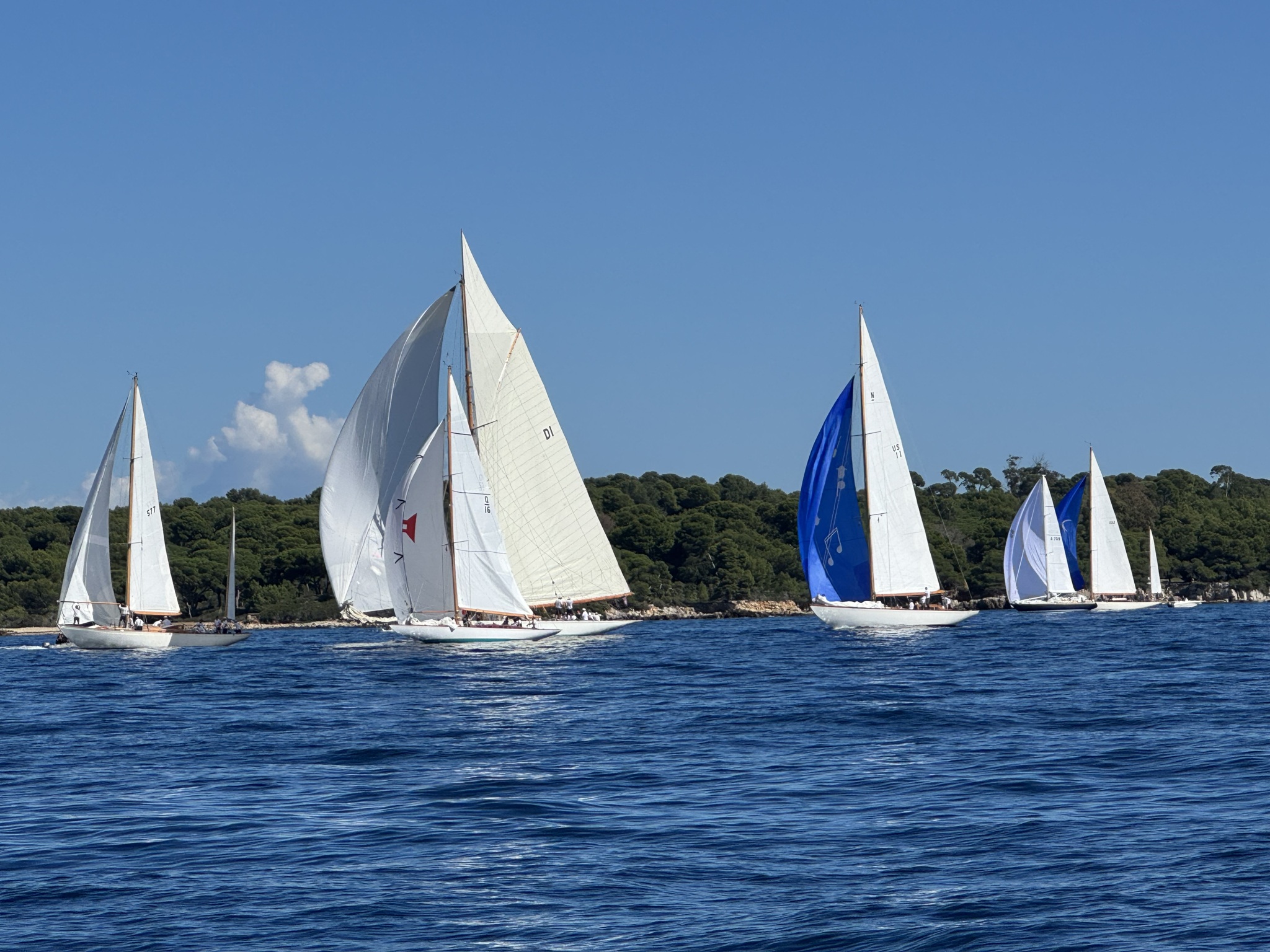 Voiles sur la Méditerranée